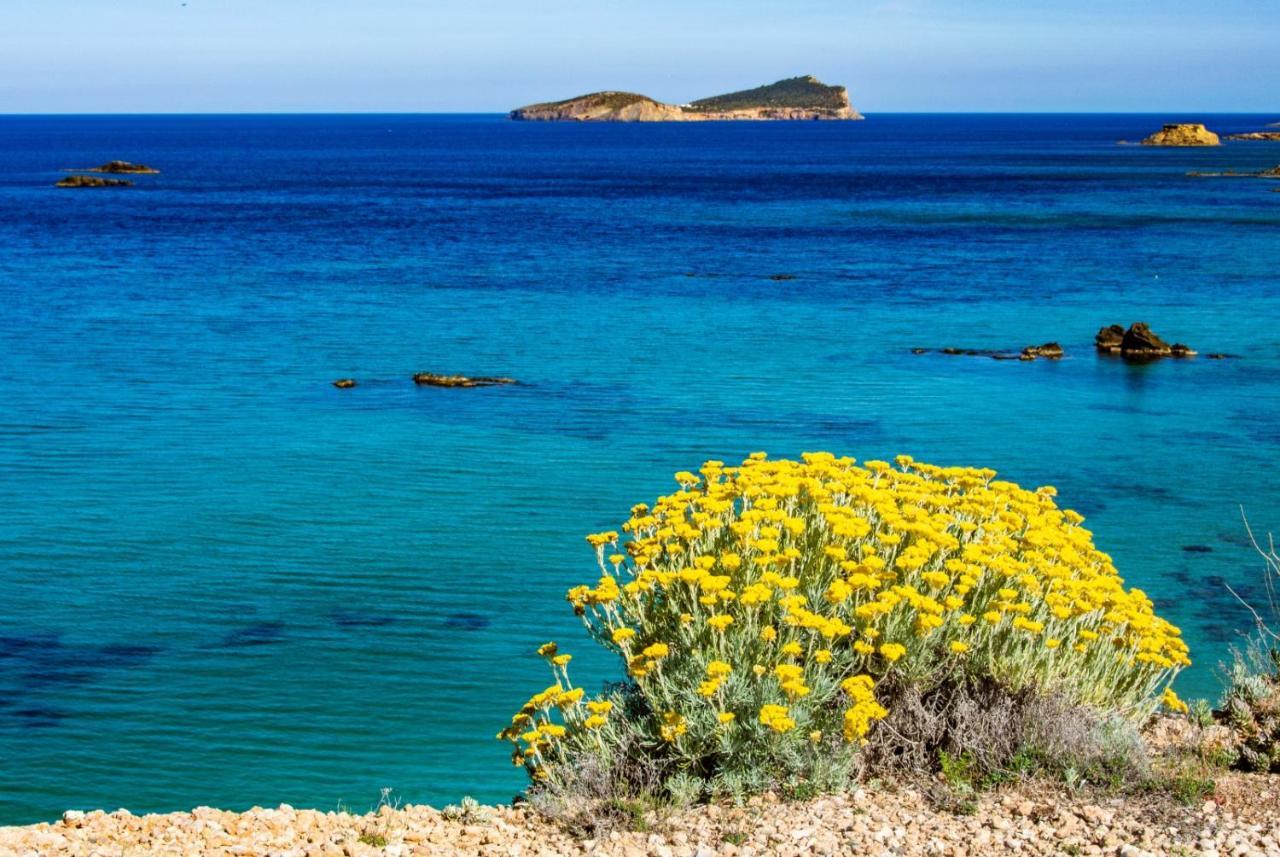 Hostal Y Apartamentos Santa Eulalia Santa Eulària des Riu Εξωτερικό φωτογραφία